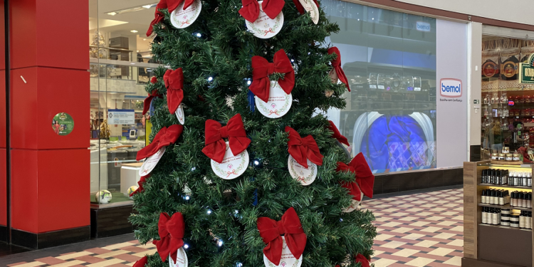 Manauara lança Árvore dos Sonhos para alegrar o Natal de pessoas em vulnerabilidade social