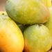 Saiba os benefícios da manga, a fruta que está em todos os lugares