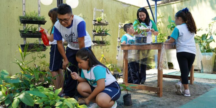 Evento que discute clima e a floresta conta com apoio das INFS