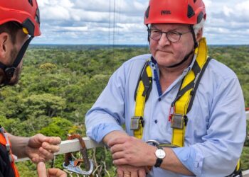Alemanha retomará investimentos no Fundo Amazônia