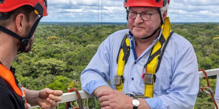 Alemanha retomará investimentos no Fundo Amazônia