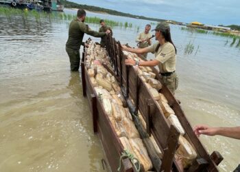 Policiais federais e militares apreendem 2 toneladas de drogas e prendem 6 pessoas