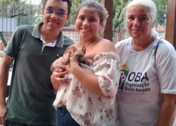 Fundadora de ONG alerta sobre prejuízos de fogos para a saúde dos animais