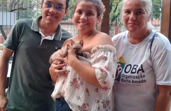 Fundadora de ONG alerta sobre prejuízos de fogos para a saúde dos animais