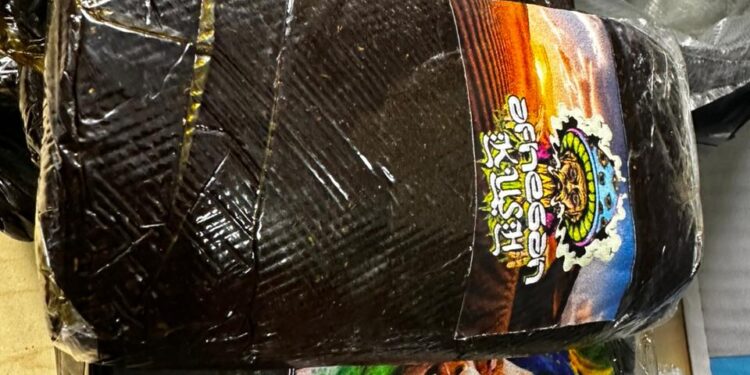 Em Manaus, Polícia Federal prende trio que recebeu drogas por via postal