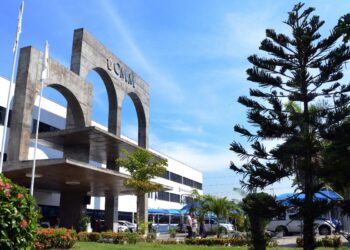 Câmara Municipal terá espaço exclusivo para cães e gatos