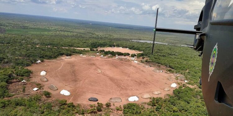 Governo revoga norma sobre exploração madeireira em terras indígenas