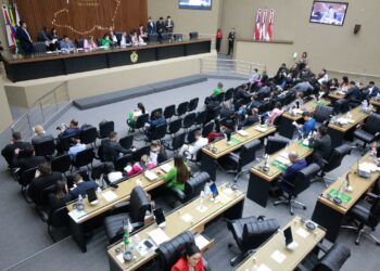 Presidente da Assembleia cobra da Amazonas Energia punição a agressor de consumidora