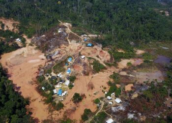 Garimpeiros ilegais estão sendo retirados de Roraima, diz presidente