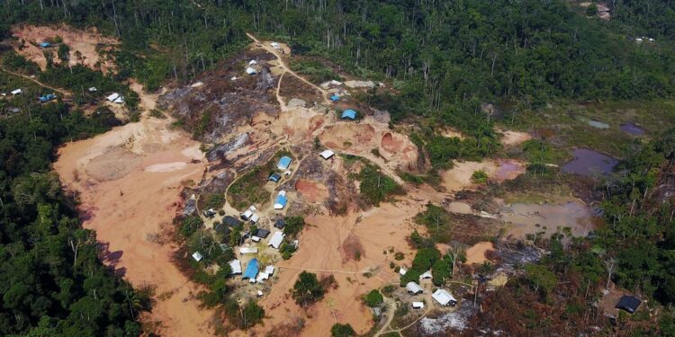 Garimpeiros ilegais estão sendo retirados de Roraima, diz presidente