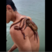 Jovem nada com polvo grudado nas costas