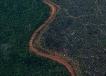 Incra tenta anular compra de área maior que SP por grupo estrangeiro, diz UOL