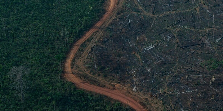 Incra tenta anular compra de área maior que SP por grupo estrangeiro, diz UOL