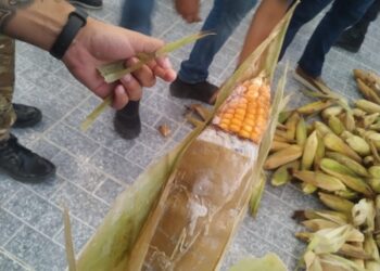 Polícia Federal prende casal que escondia drogas em milho e macaxeira