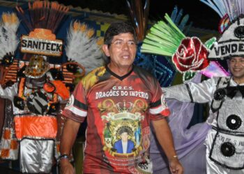 Bosquinho Poeta é enredo da escola Dragões do Império