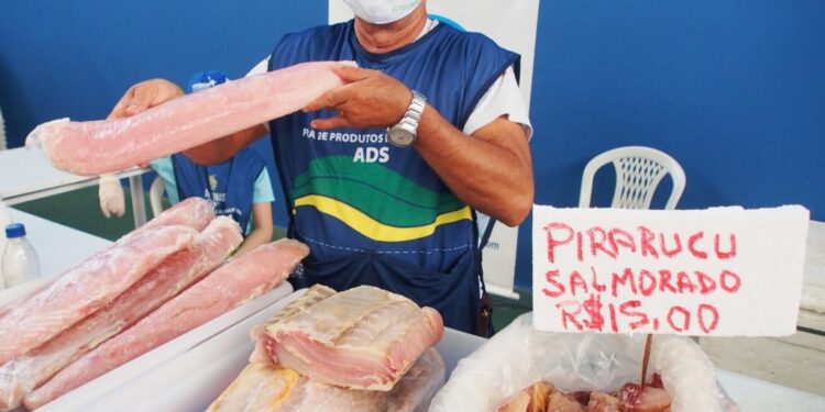 Confira a programação das feiras da ADS