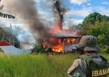 Operação do governo destrói avião e trator do garimpo em área yanomami