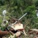 Sobe para 54 número de mortos após chuvas no litoral norte paulista