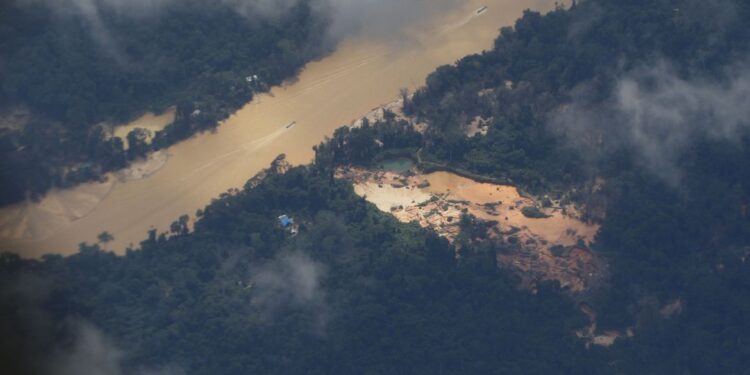 Garimpeiros pedem ajuda ao governo federal para deixar Terra Yanomami