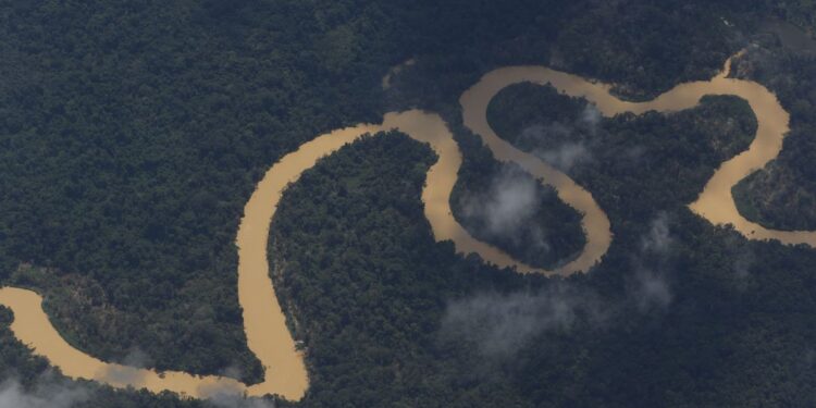 Indígenas denunciam assassinato de três yanomami em Roraima