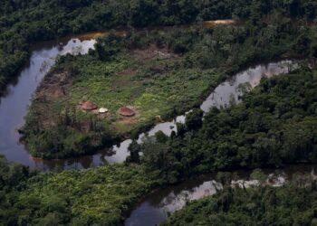 Ayrca rejeita ida de senadores à Terra Yanomami e repudia fala de Plínio Valério