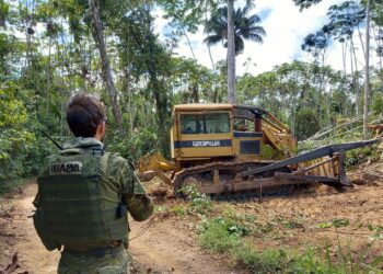 Ibama e PRF desmontam mais de 190 acampamentos na TI Yanomami