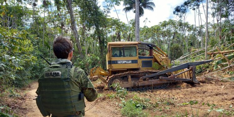 Ibama e PRF desmontam mais de 190 acampamentos na TI Yanomami