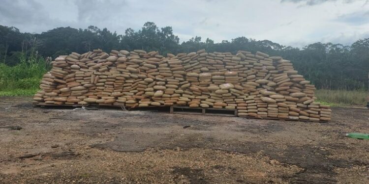 Polícia Federal incinera cerca de duas toneladas de drogas na fronteira do AM