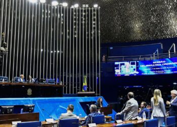 Senado aprova projeto de Alberto Neto que prioriza emprego para mulher vítima de violência