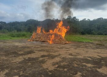 Polícia Federal incinera cerca de duas toneladas de drogas na fronteira do AM
