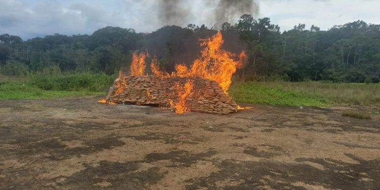 Polícia Federal incinera cerca de duas toneladas de drogas na fronteira do AM