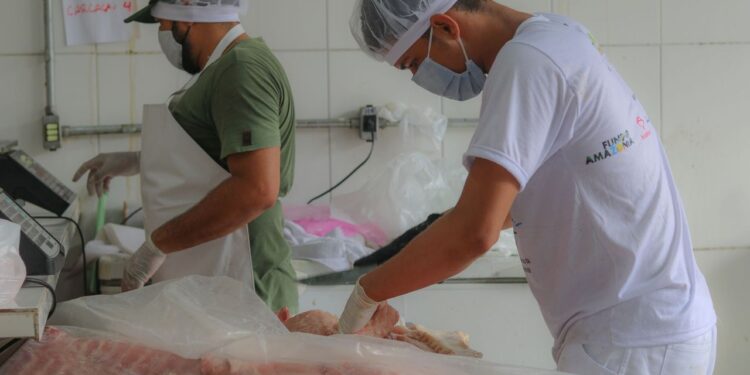 FAS realiza Feira do Pirarucu no sábado (04) com a venda de 3 toneladas de pescado