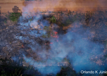 BR-319: Recordes de desmatamento e focos de calor são registrados no sul do Amazonas