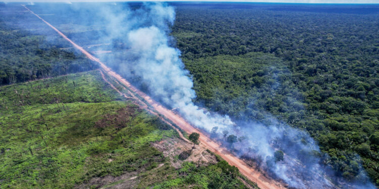 Ministério declara emergência ambiental a partir de maio e abril em municípios do AM