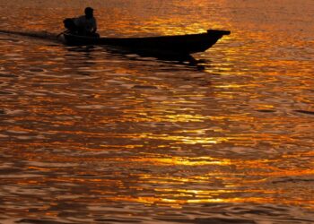 Dia Mundial da Água: saiba como o recurso pode ser preservado