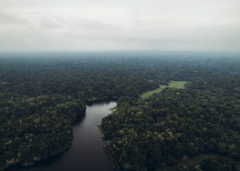 Liderança da Reserva do Médio Juruá é ameaçada de morte por garimpeiros