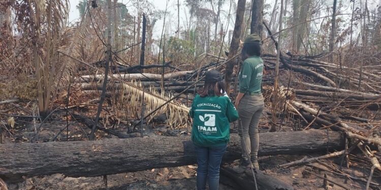 Ipaam aplica mais de R$ 76 milhões em multas durante Operação Tamoiotatá II