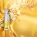 Natura, a Casa de Perfumaria do Brasil, apresenta Luna Viva