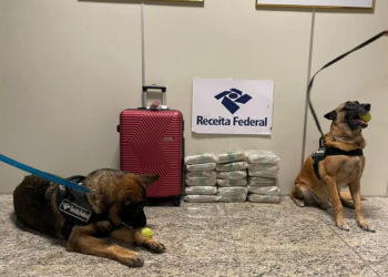 Com auxílio de cães, RF prende mulher com 20,6 kg de drogas no aeroporto