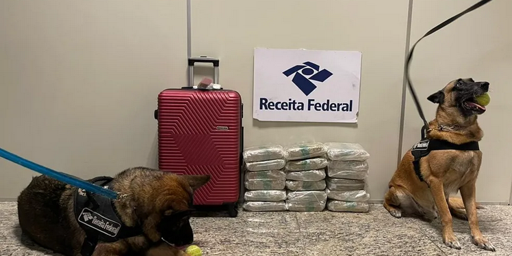 Com auxílio de cães, RF prende mulher com 20,6 kg de drogas no aeroporto