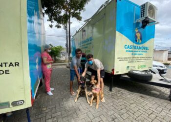 Castramóvel realiza ação itinerante no Shopping ViaNorte a partir desta quinta (02)