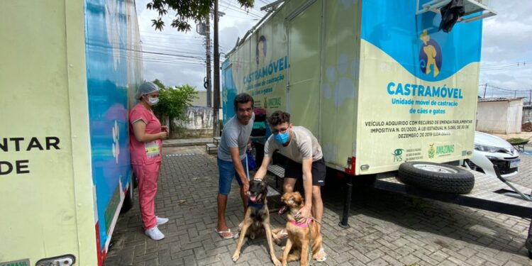 Castramóvel realiza ação itinerante no Shopping ViaNorte a partir desta quinta (02)
