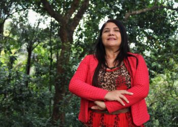 “Prioridade é o sul do Amazonas”, diz superintendente substituta do Incra