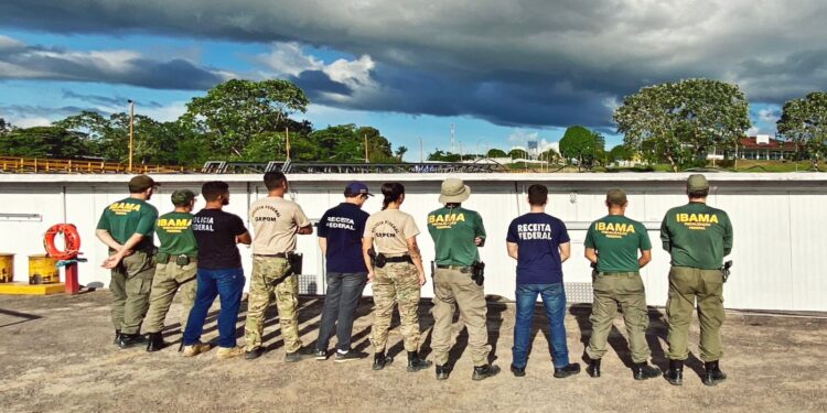 PF e Ibama apreendem 31 toneladas de pescado ilegal na fronteira do Amazonas