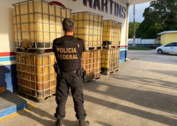 PF prende homem com armas e mercúrio usado em garimpo ilegal