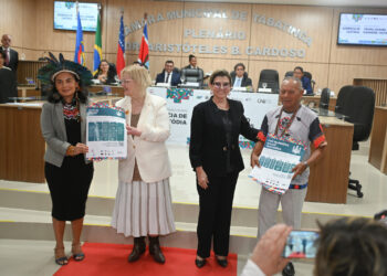 Presidente do STF lança cartazes sobre audiência de custódia em 4 línguas indígenas