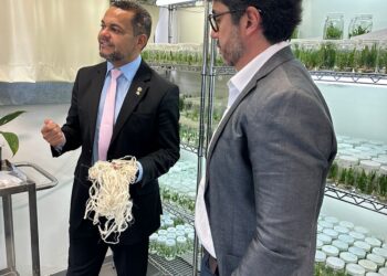 Parlamentar visita CBA e aposta na bioeconomia para gerar empregos no interior