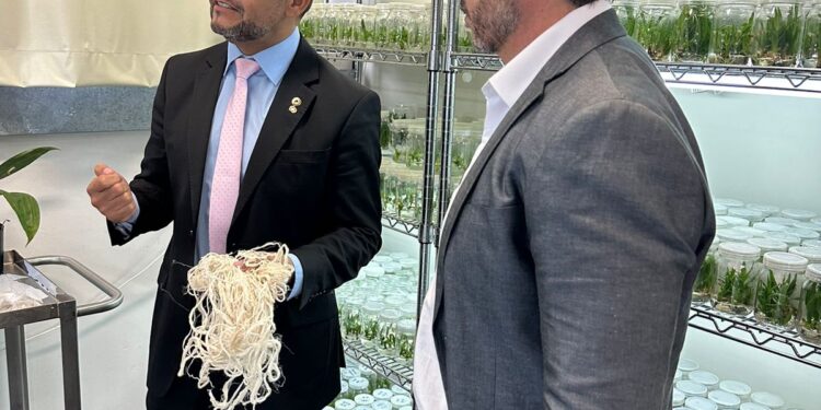 Parlamentar visita CBA e aposta na bioeconomia para gerar empregos no interior
