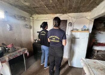 Em 2023, 523 vítimas de trabalho análogo à escravidão foram resgatadas