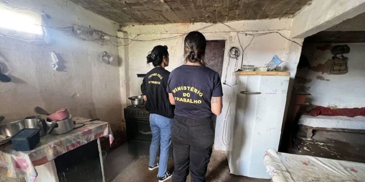 Em 2023, 523 vítimas de trabalho análogo à escravidão foram resgatadas